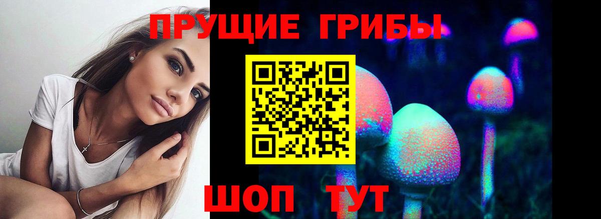 Галлюциногенные грибы Psilocybine cubensis Людиново